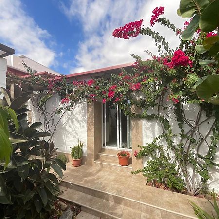 ホテル Casa Tijoco アデヘ エクステリア 写真