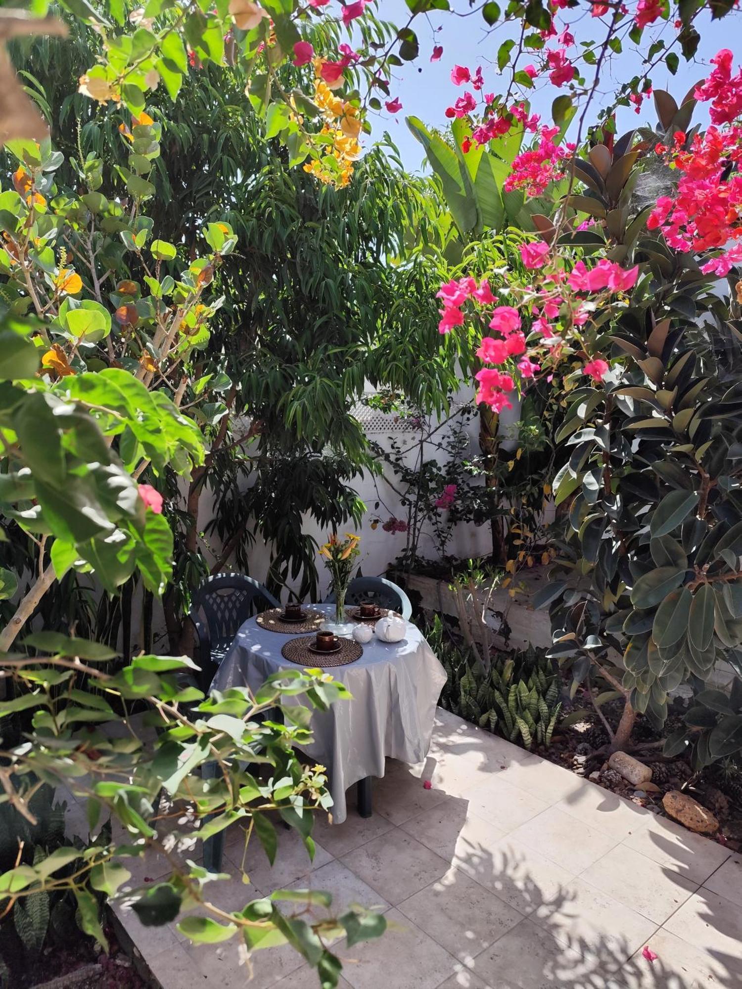 ホテル Casa Tijoco アデヘ エクステリア 写真